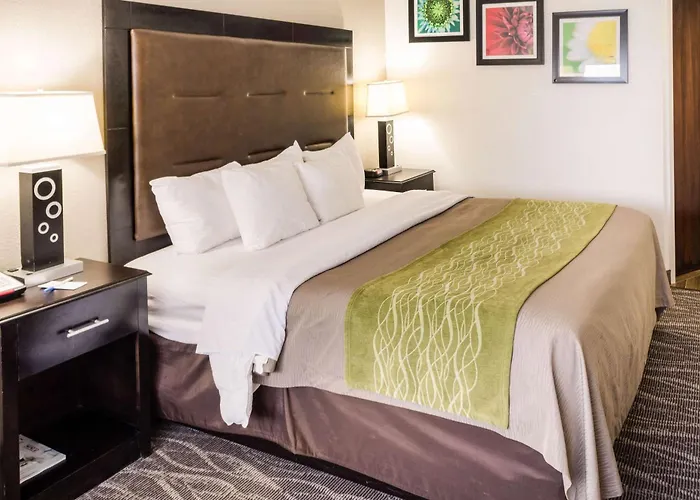 Comfort Inn Downtown Charleston