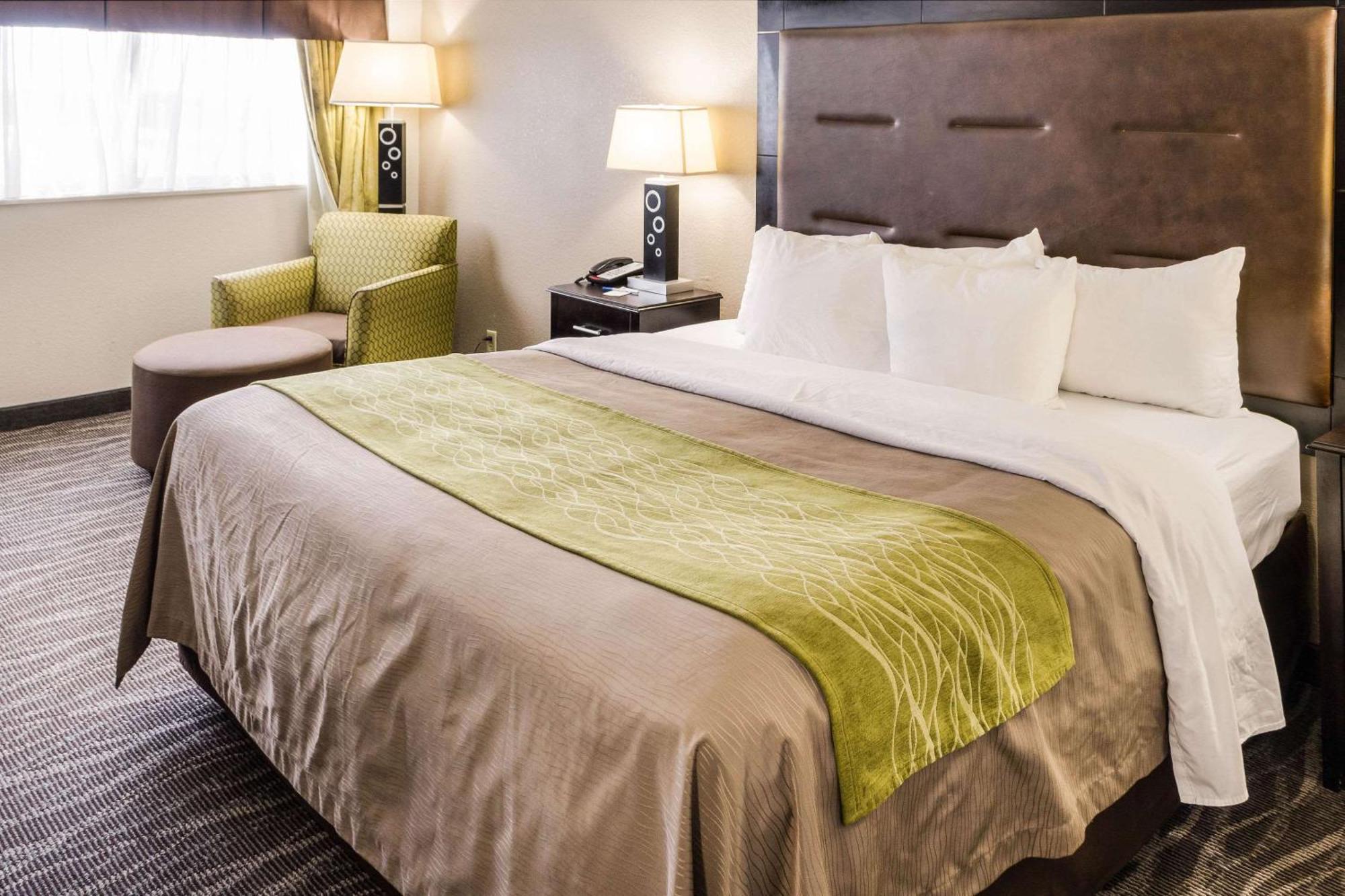 Comfort Downtown Locanda
